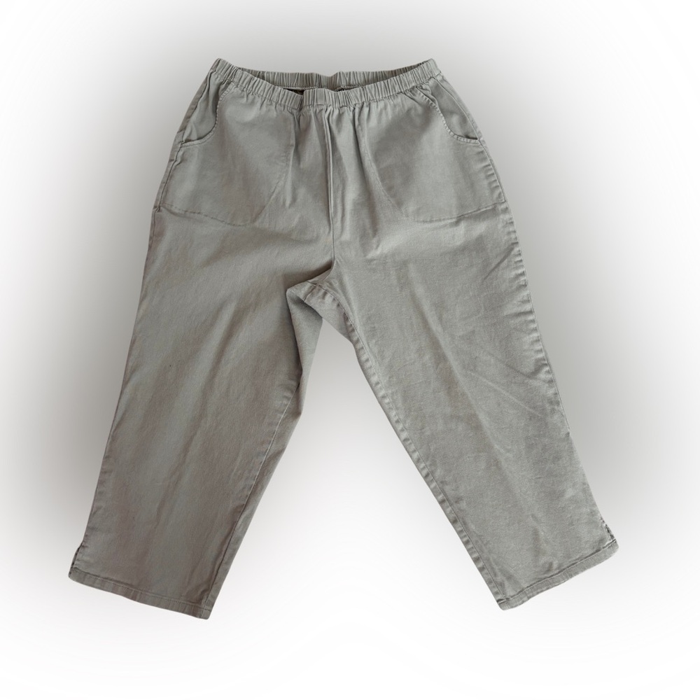 D&Co 1X Beige Pull On Capri Pants Elastic Waist Stretch